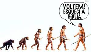 Voltem às origens